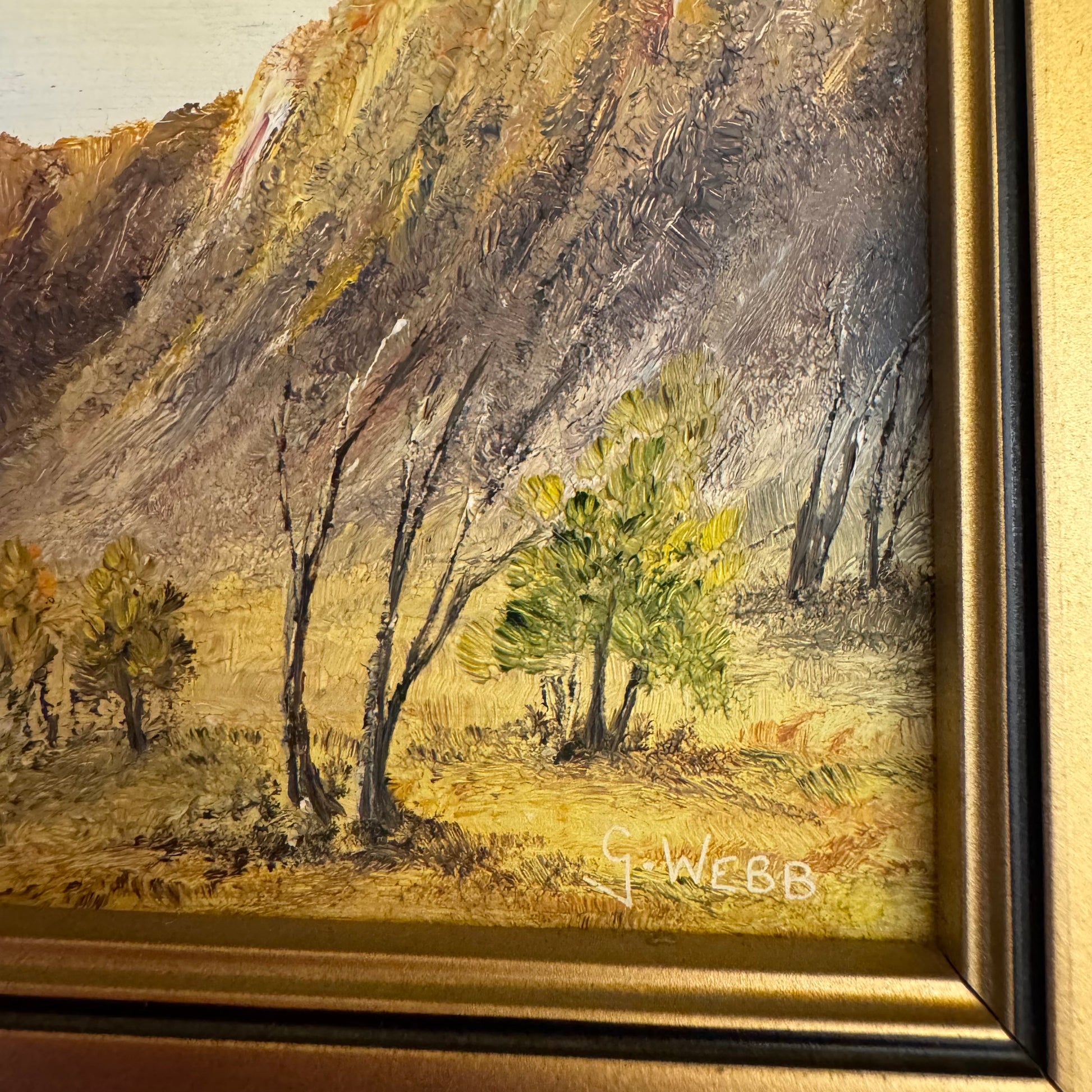 Oil Painting The Flinders Ranges By Gordon Webb