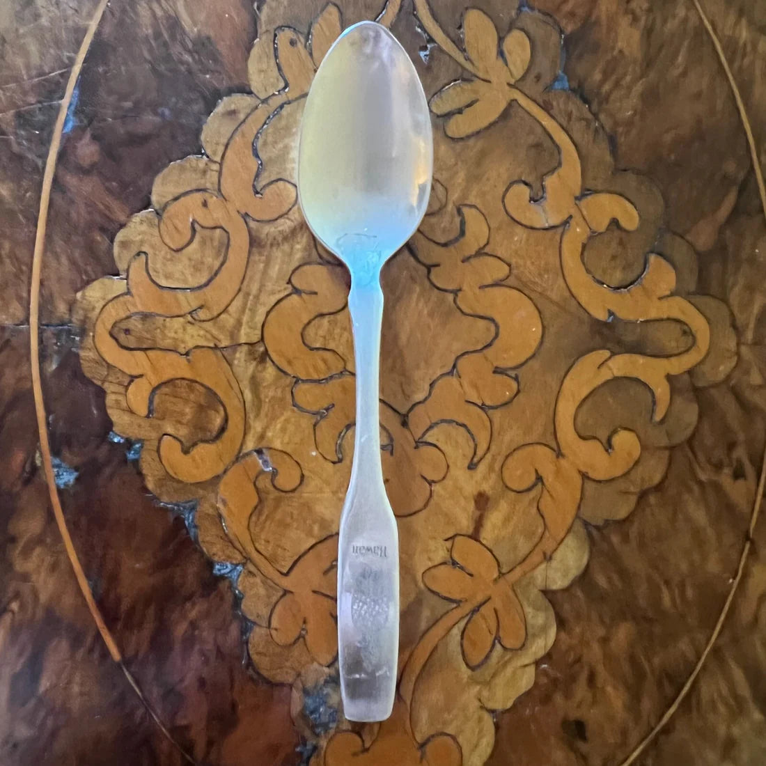 Oneida Ltd Silversmiths Hawaii Spoon