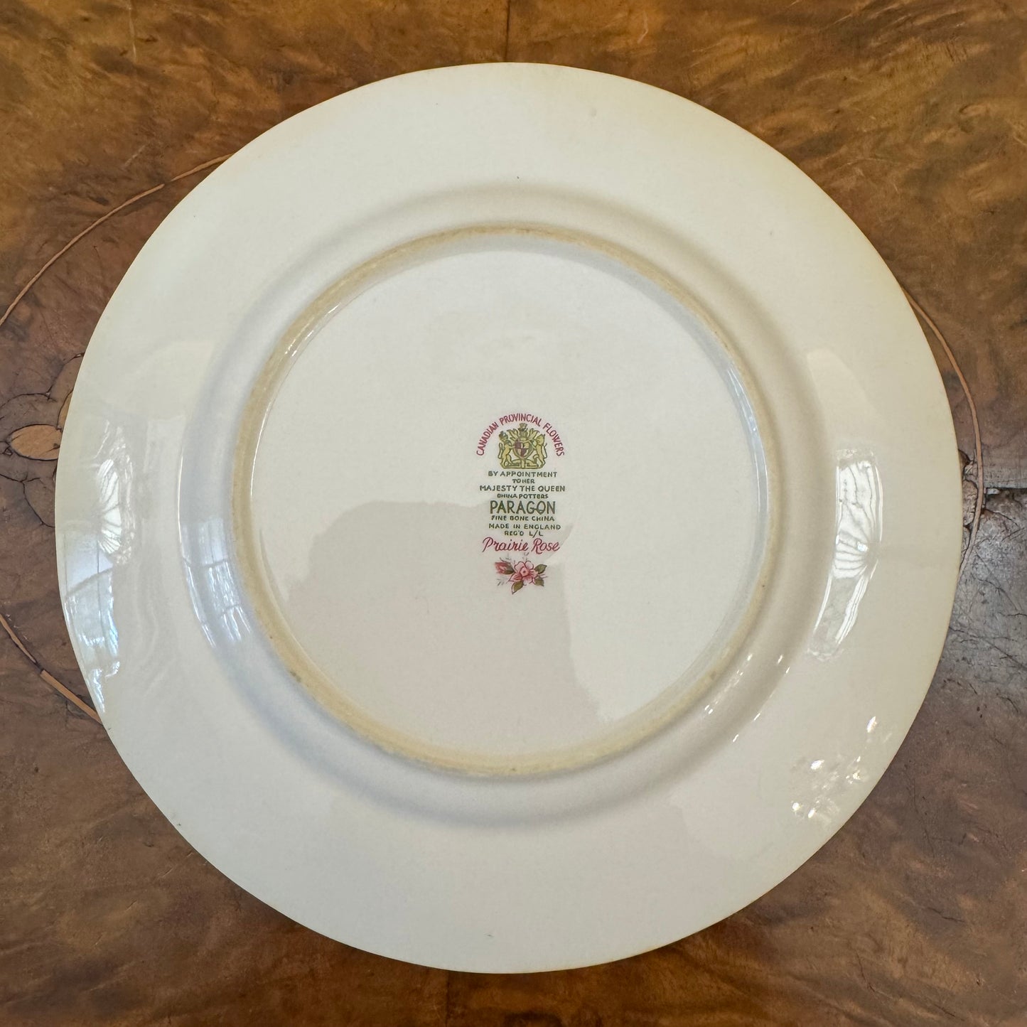 Paragon Prairie Rose Plate 