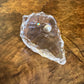 Crystal Shell With Pearl