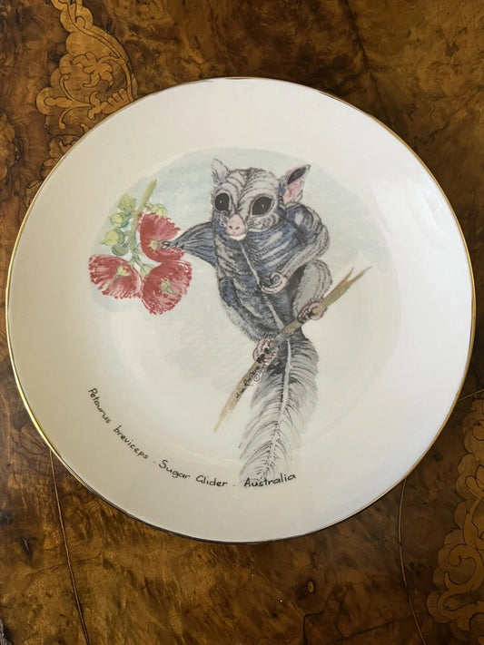 Petaurus Breviceps Sugar Glider Collectors Plate