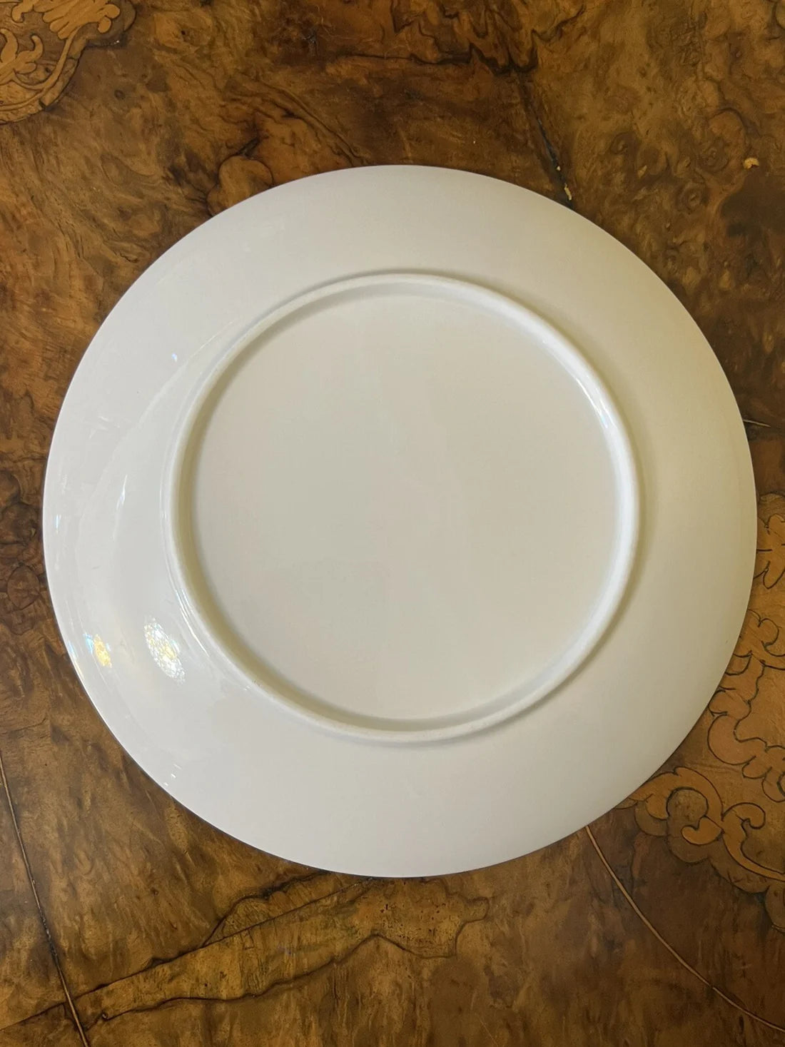 Petaurus Breviceps Sugar Glider Collectors Plate