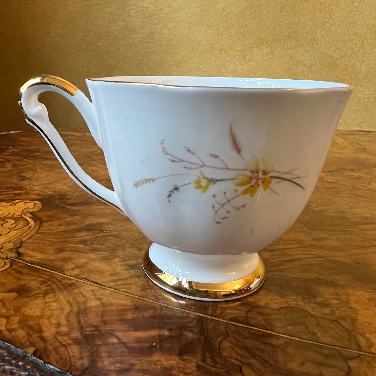 Queen Anne Jasmine Cup 