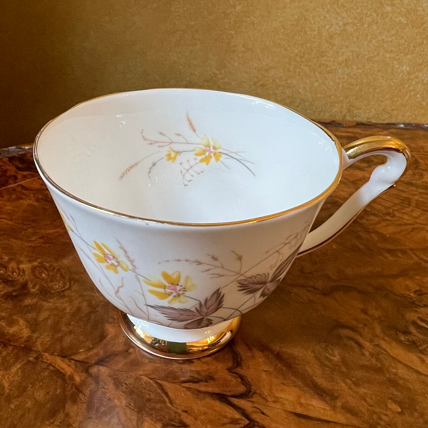 Queen Anne Jasmine Tea Cup 