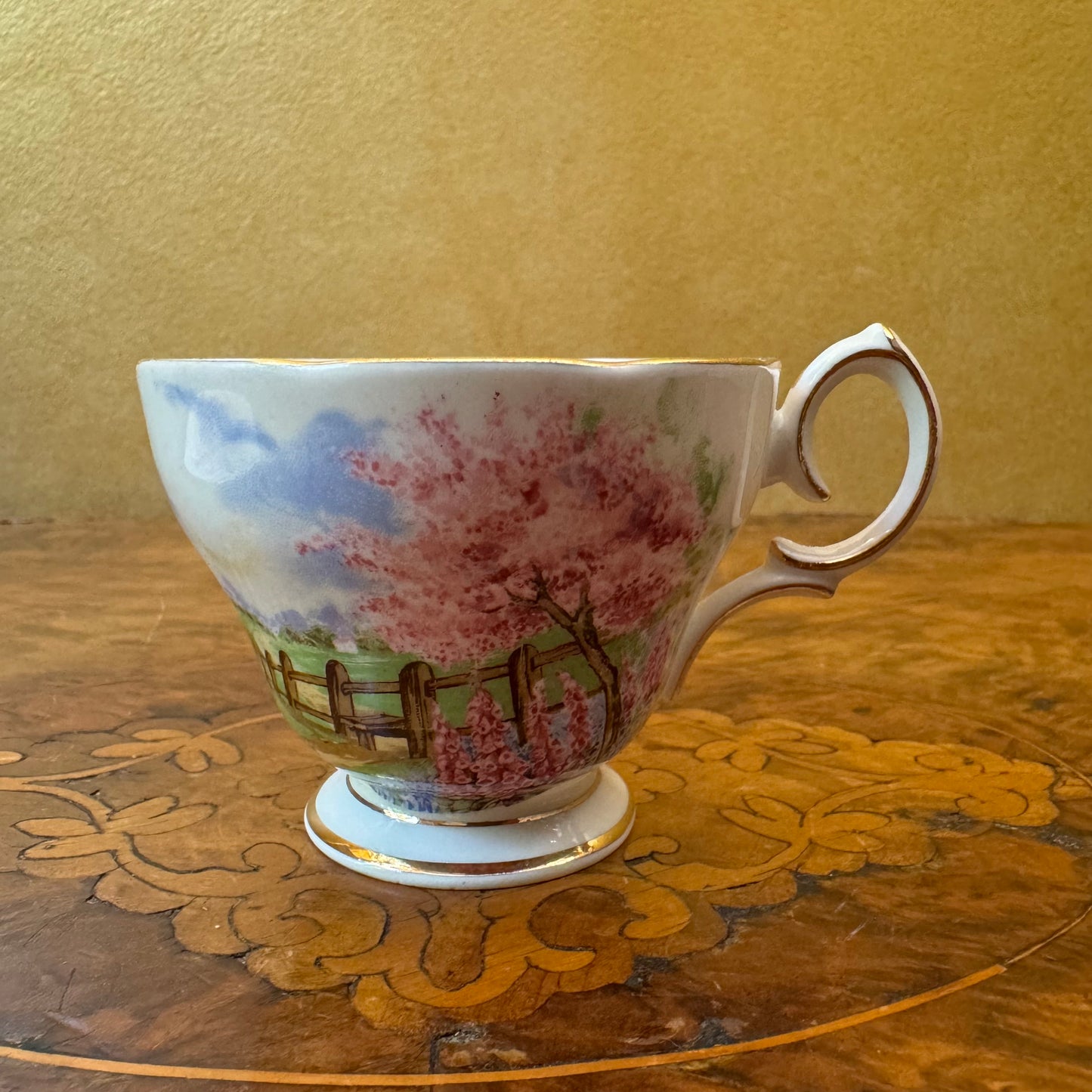 Queen Anne Meadowside Demitasse Cup & Saucer 