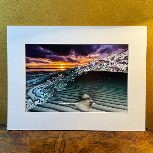 Rays of The Bay Photograph Print By Jordan Robins