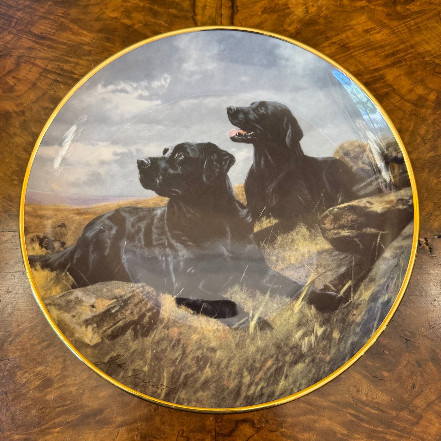 Royal Doulton Black Labrador Ready To Go Plate 