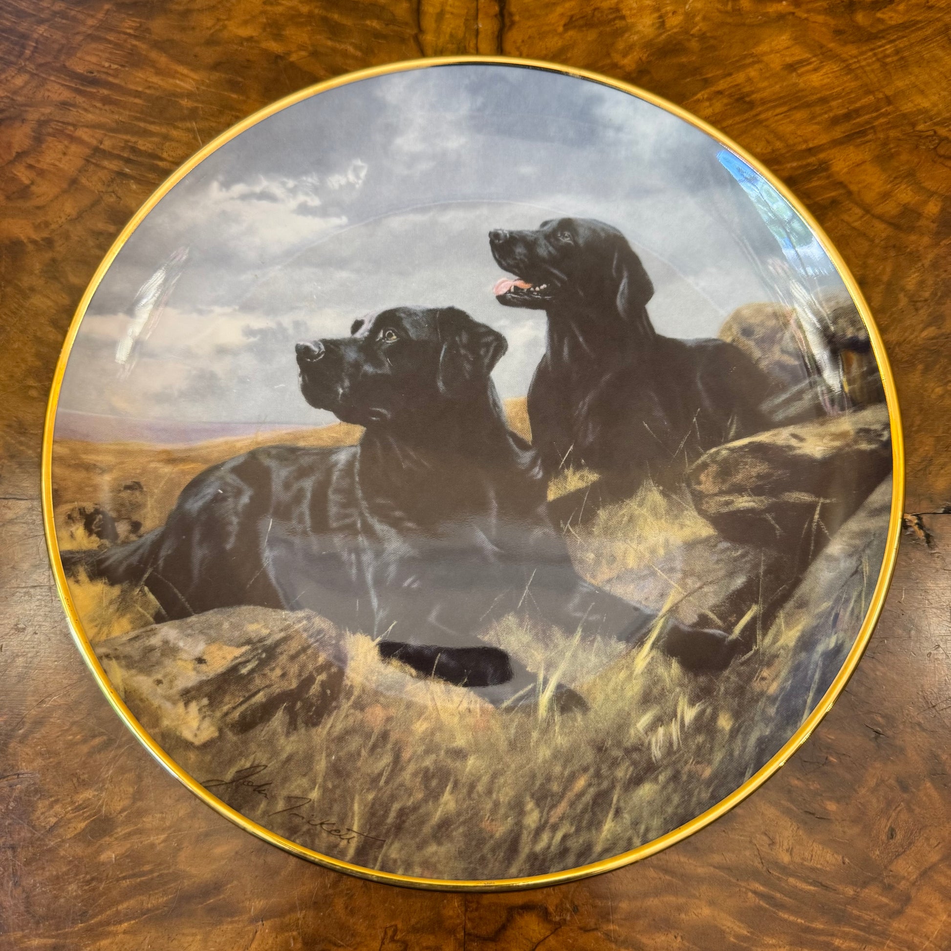 Royal Doulton Black Labrador Ready To Go Plate 