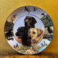 Royal Doulton Labradors One For All Collectors Plate 