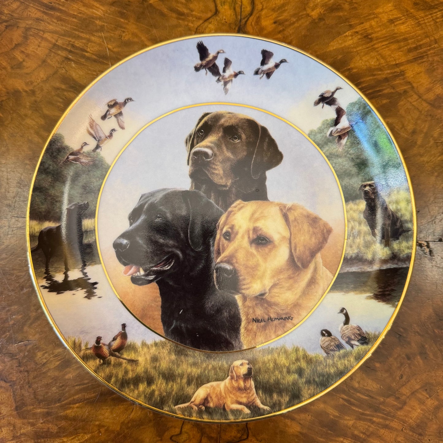 Royal Doulton Labradors One For All Plate 