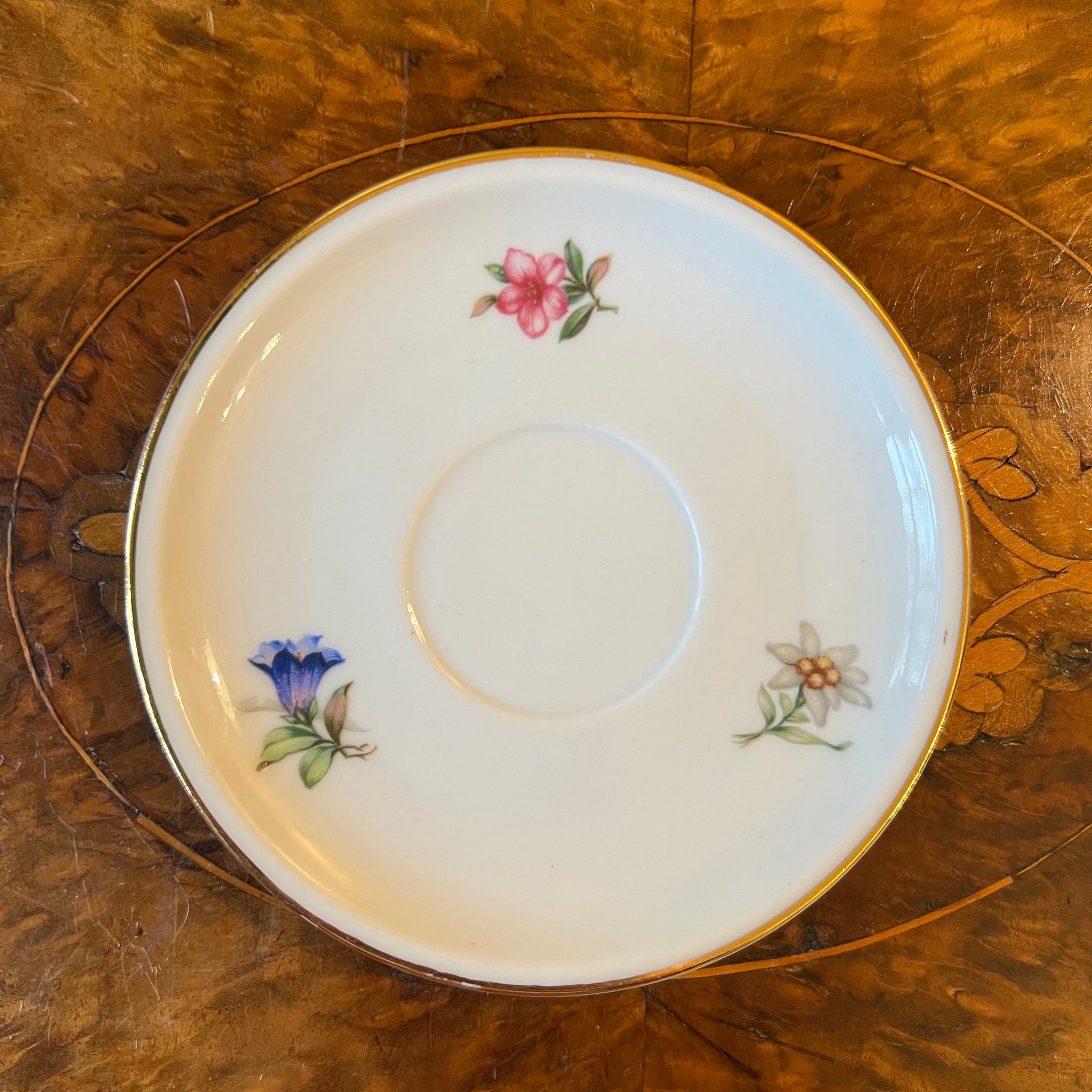 Schuman Arzbery Floral Coffee Saucer