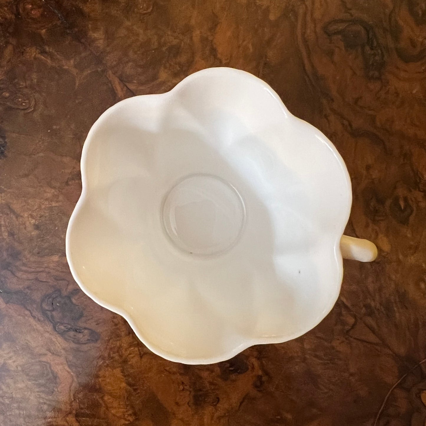Shelley Dainty White Cup 