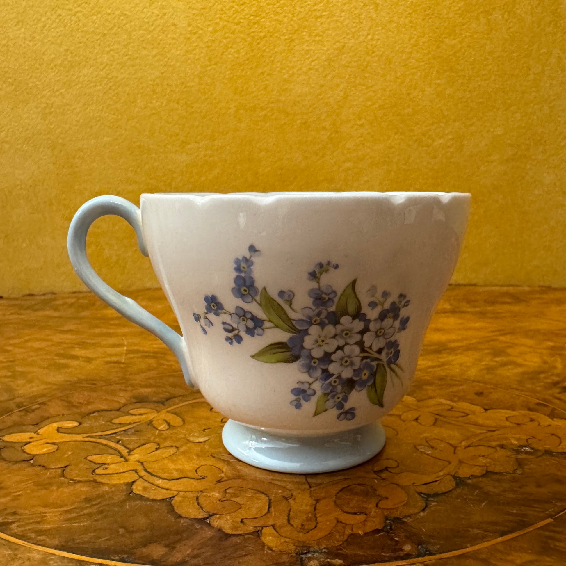 Shelley Forget Me Not Cup