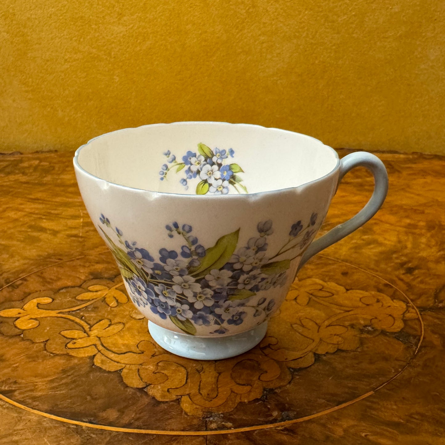 Shelley Forget Me Not Tea Cup