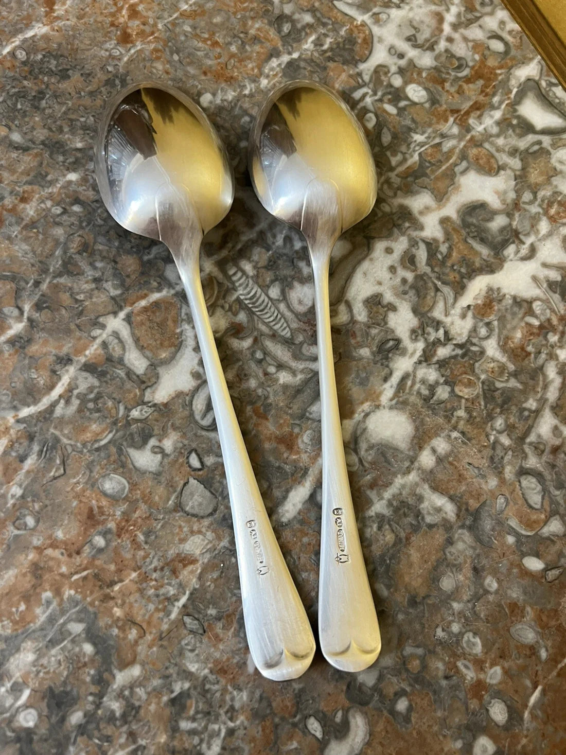 Vintage Silver Plated Large Spoons Pair