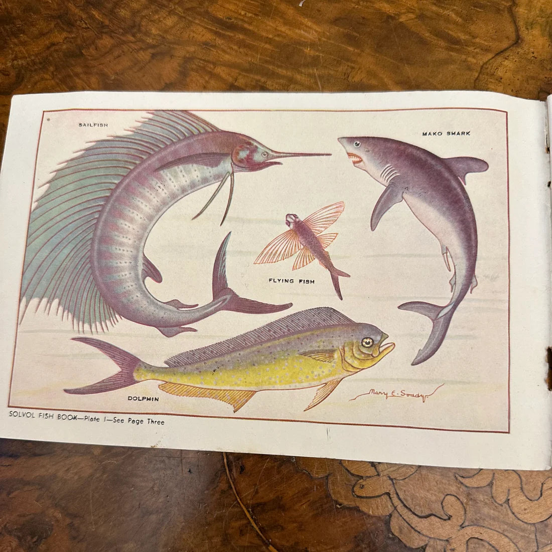 Vintage 1940s Solvol Fish Paper Book