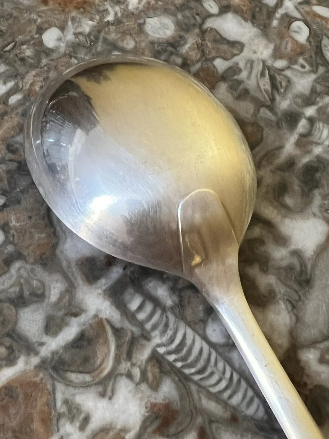 Vintage Silver Plated Soup Spoon
