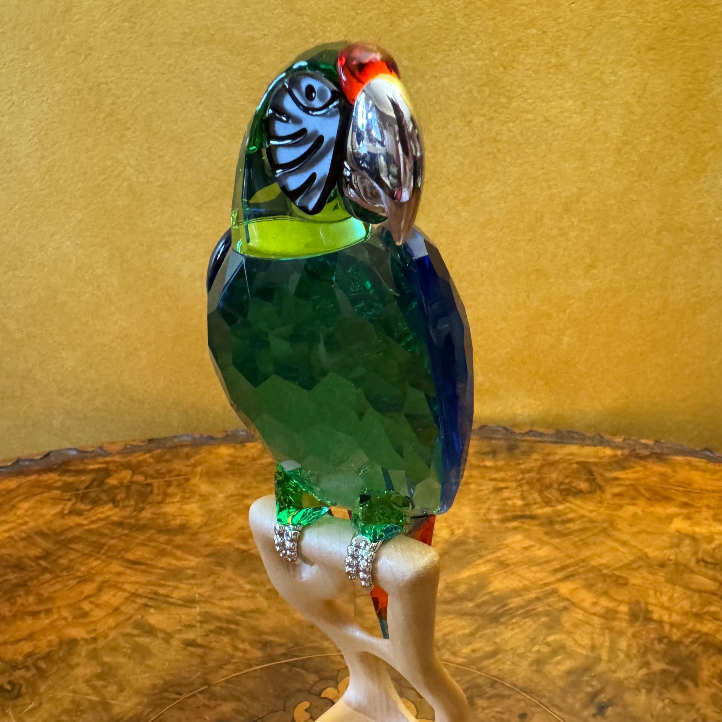 Swarovski Crystal Macaw Paradise