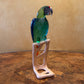 Swarovski Crystal Macaw Paradise Birds 