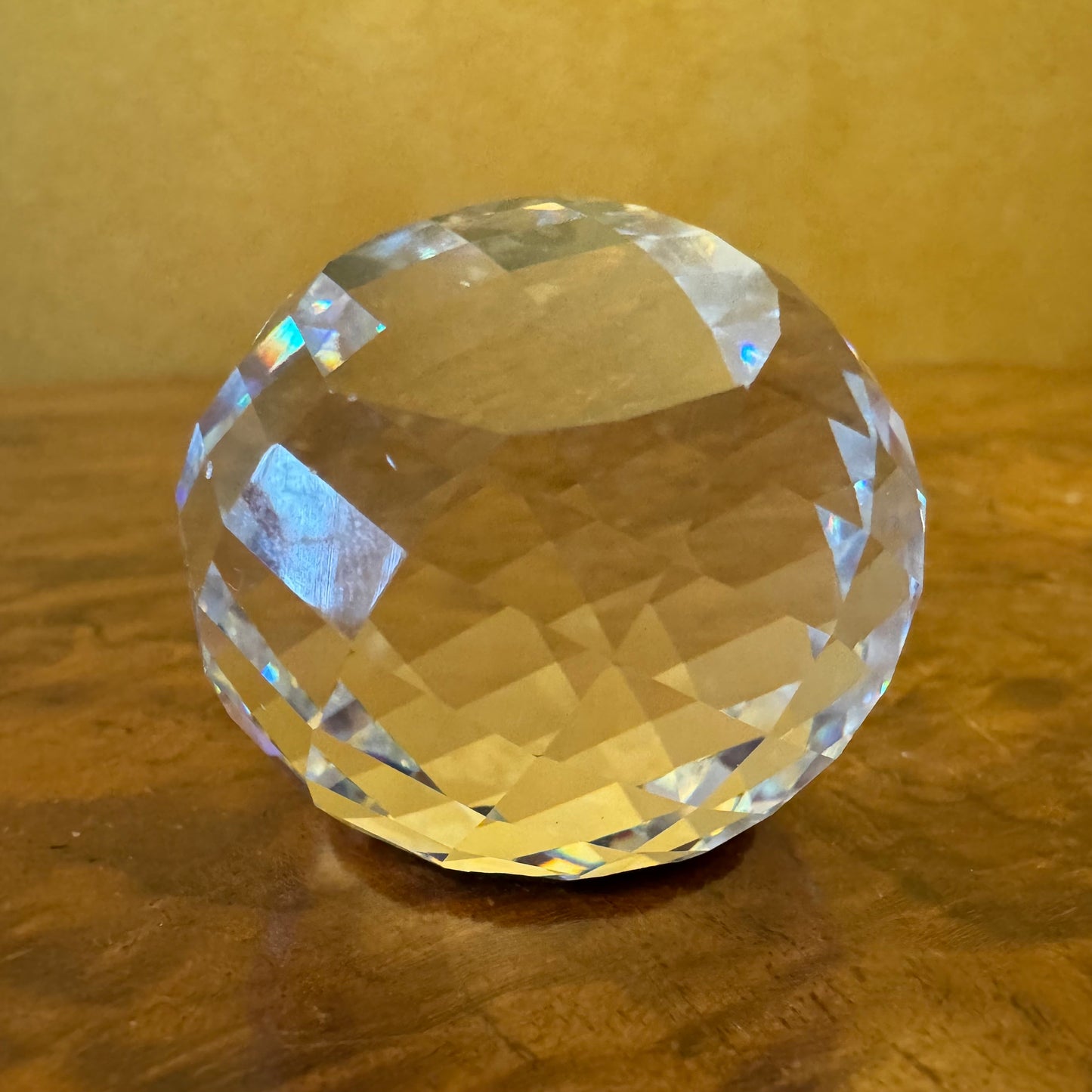 Swarovski Crystal SCS Collector Society Paperweight