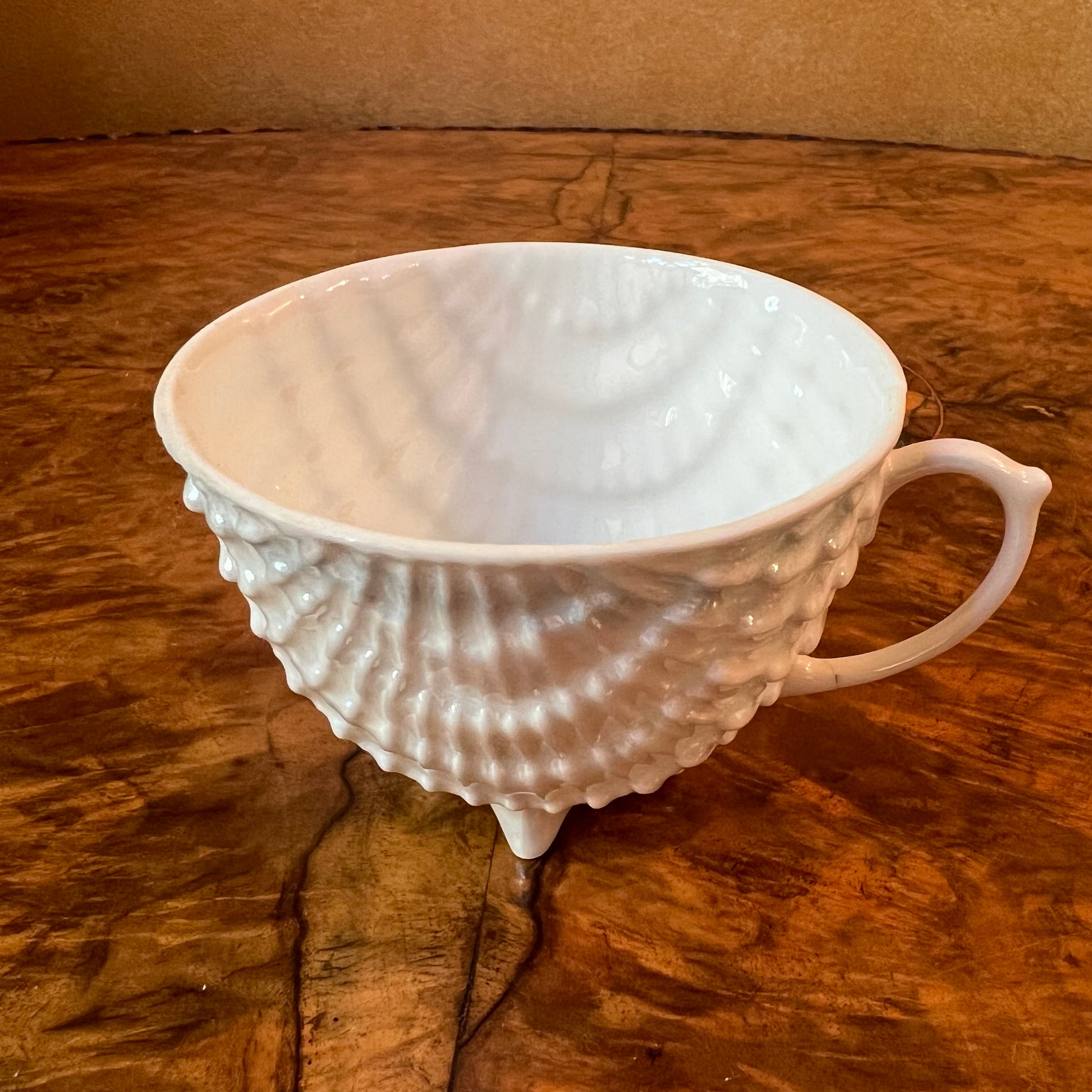 Victoria Shell Lustre Tea Cup 