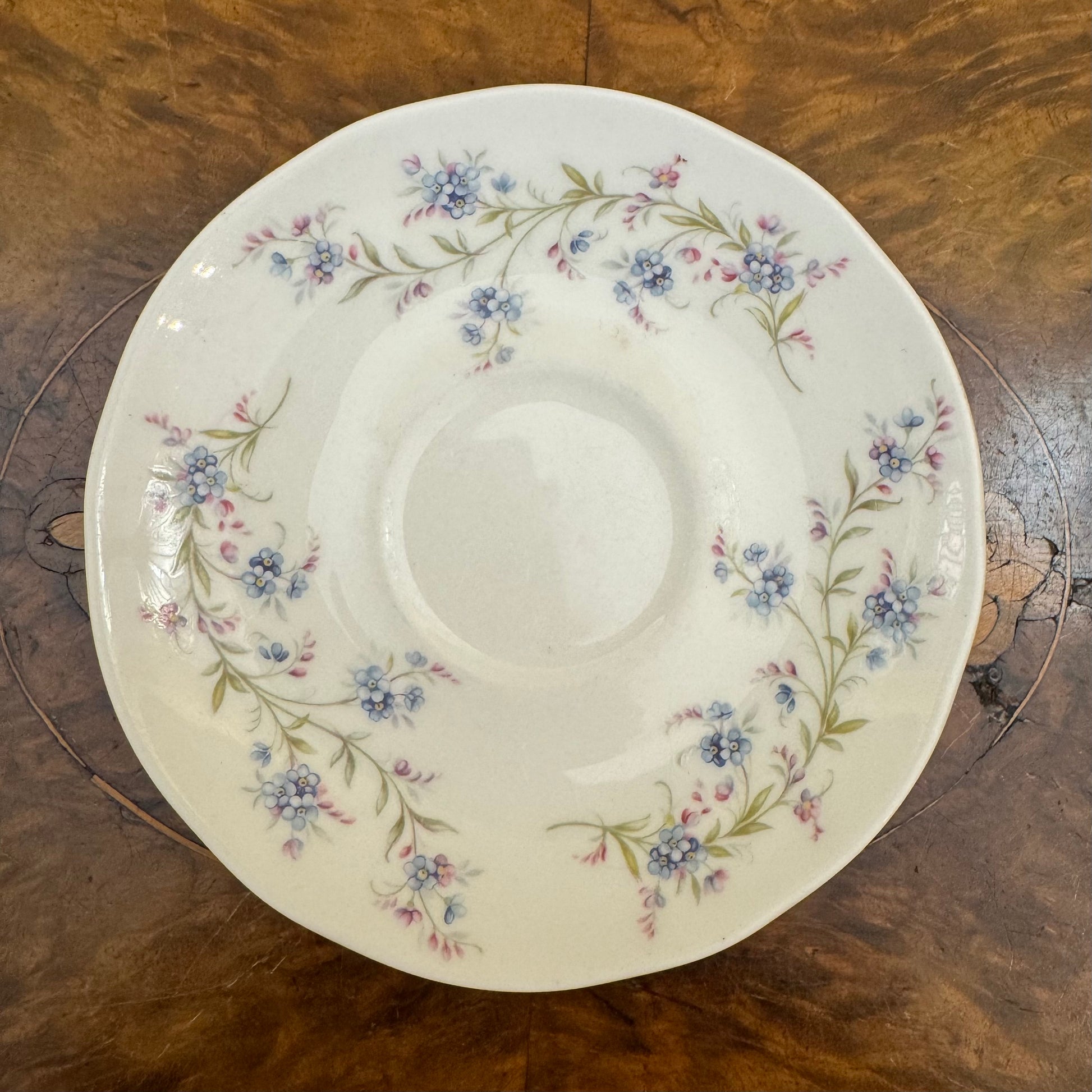 Vintage Duchess Tranquility Saucer 