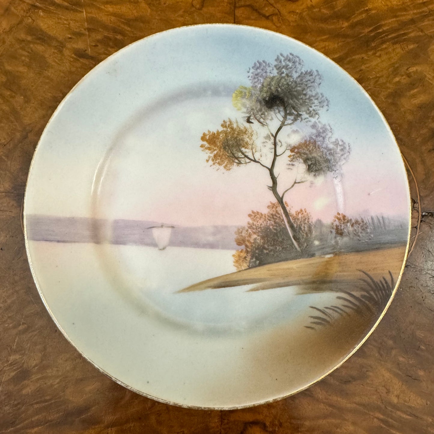 Vintage Hand Painted Lake Scene Side Plate 