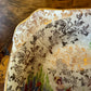 Vintage Lady Crinoline Empire Ware Square Dish