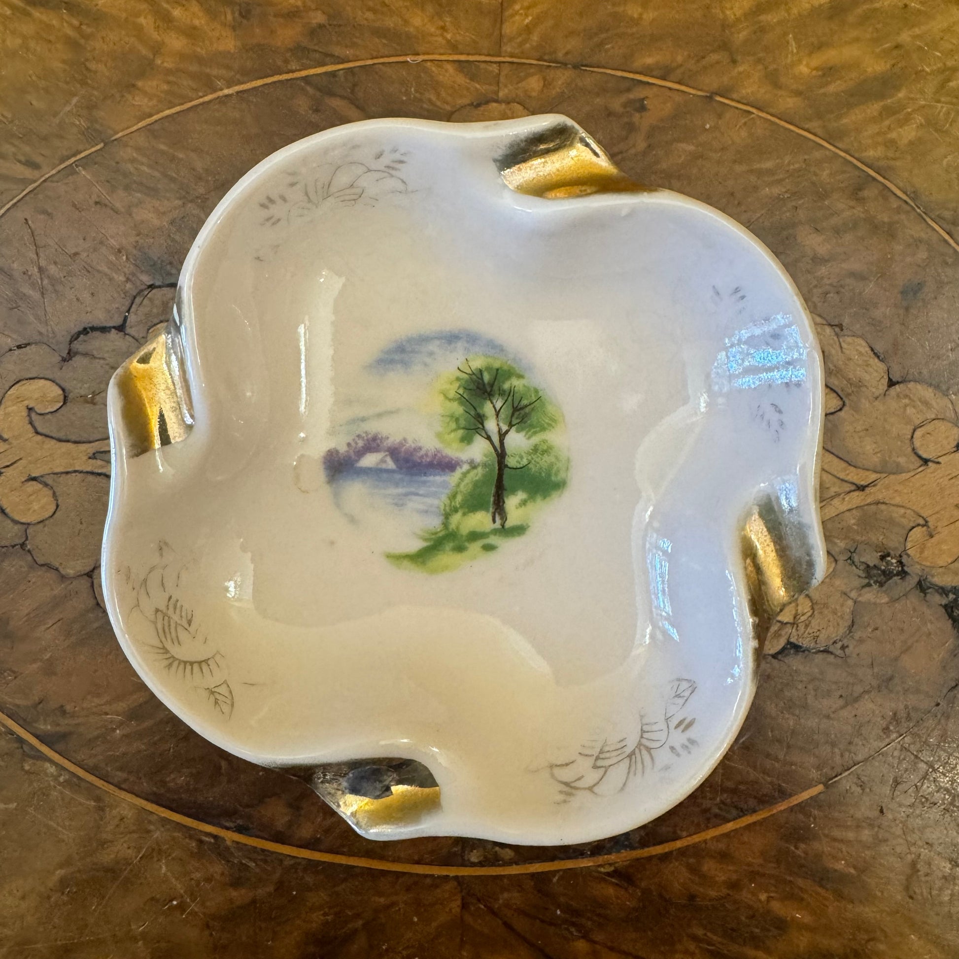 Vintage Lake Print Pink Ashtray 