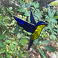 Vintage Lead Light Fairy Swallow Bird Hanging Ornament
