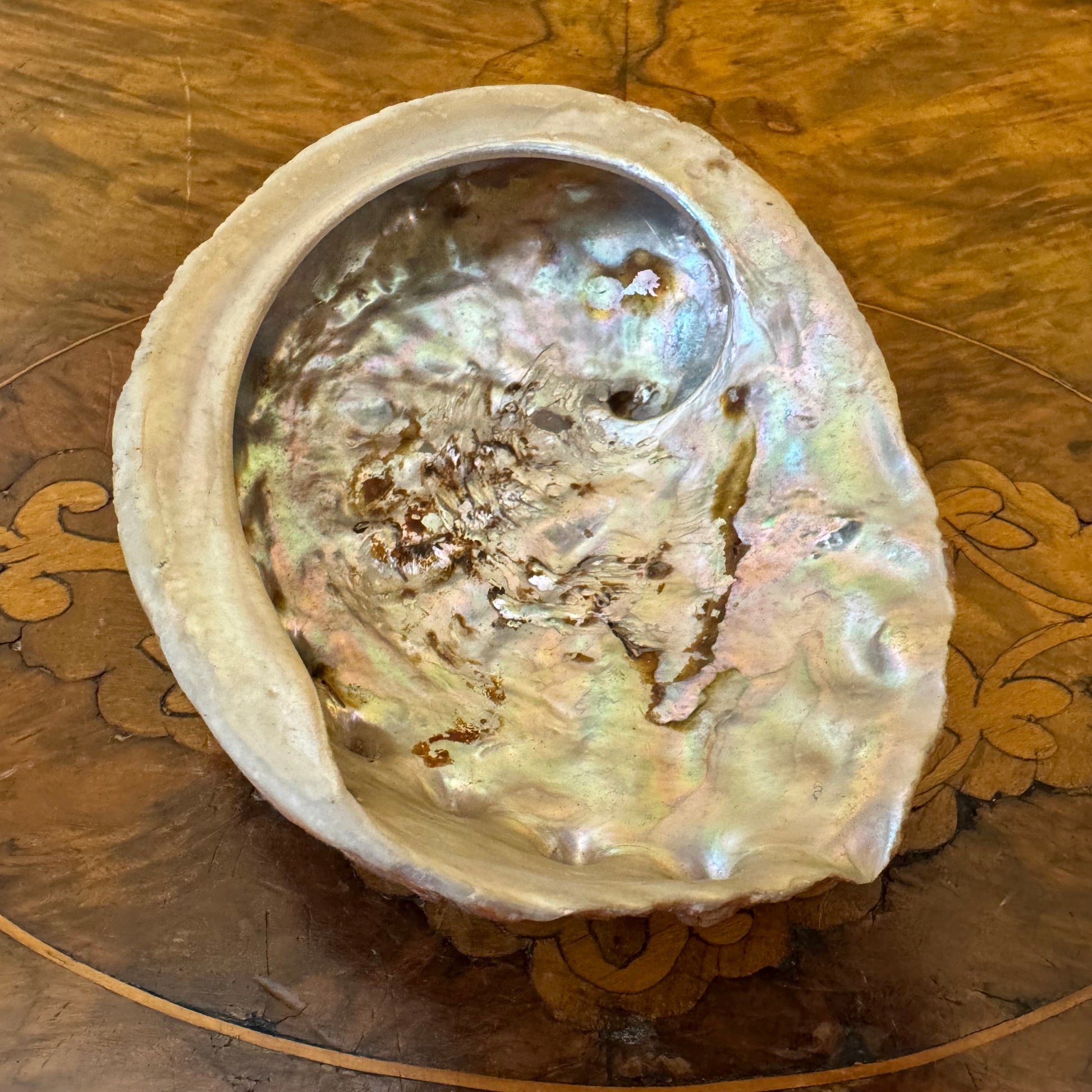 Vintage Mother of Pearl Shell Dish 