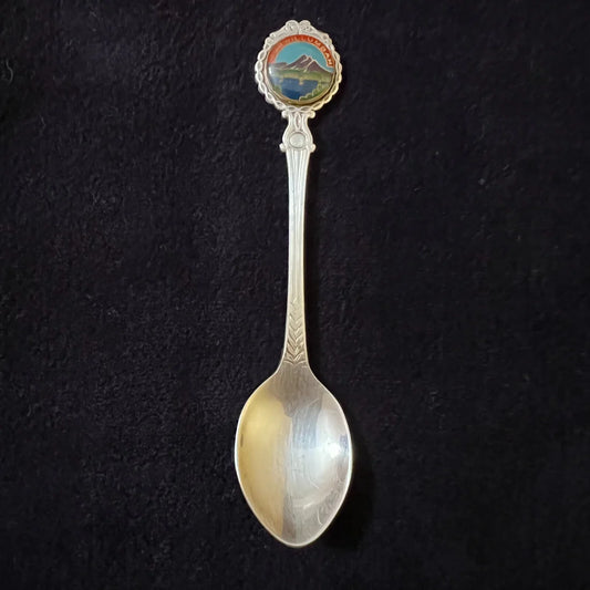 Vintage Murwillumbah Silver Plated Tea Spoon