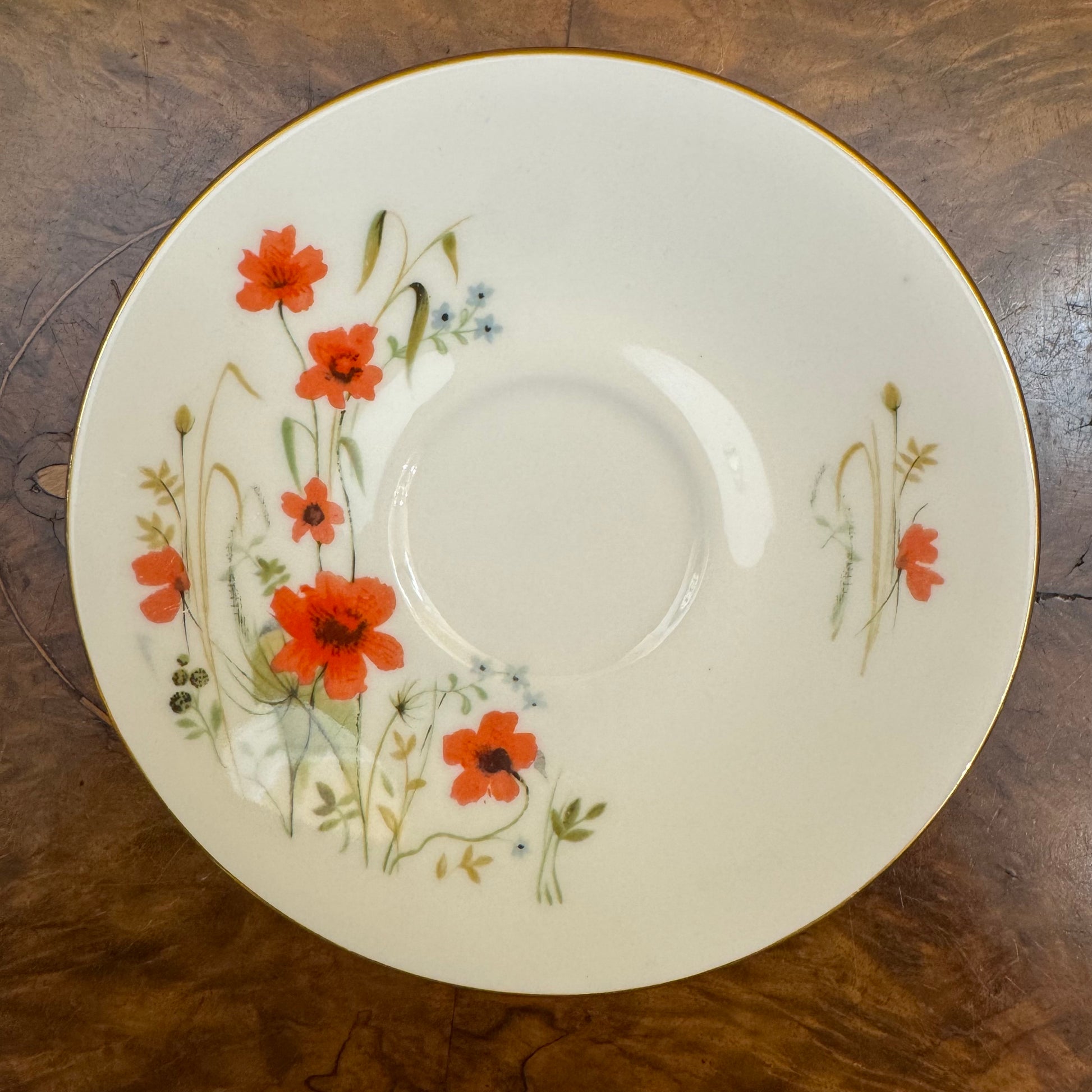 Vintage Queen Anne Carmina Poppy Pattern Saucer 