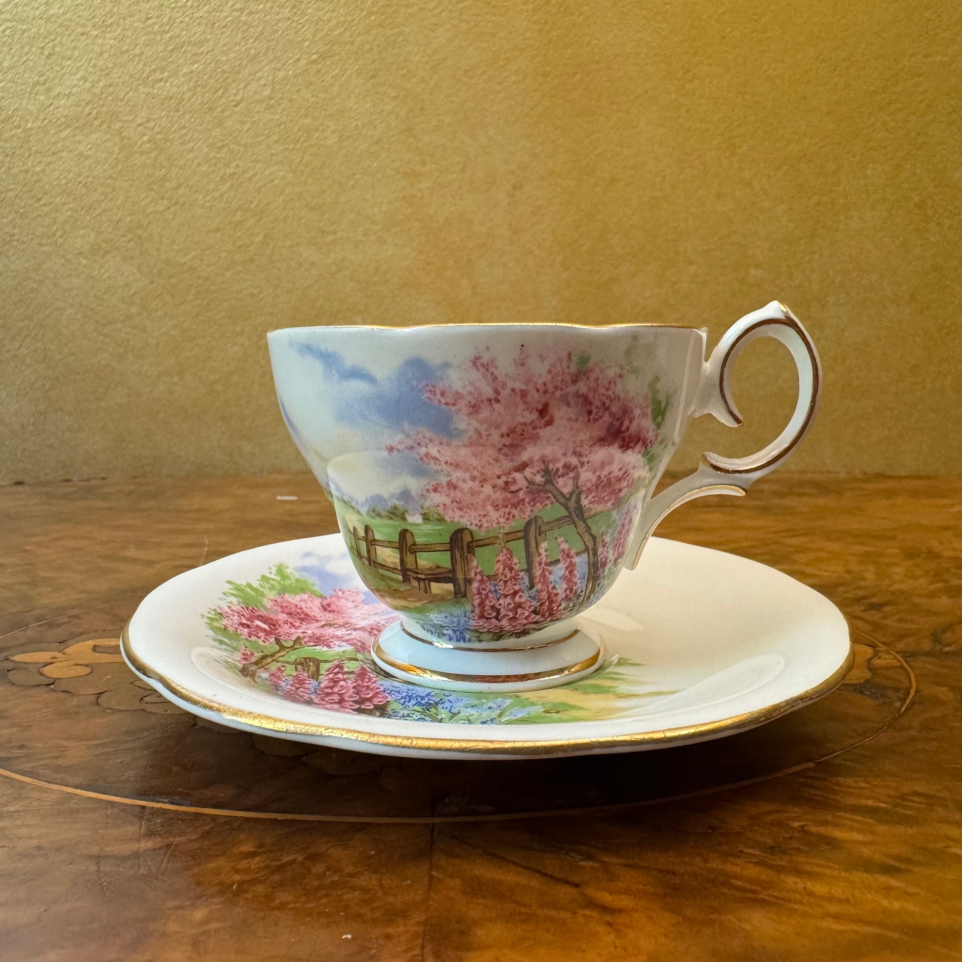 Vintage Queen Anne Meadowside Demitasse Cup & Saucer 