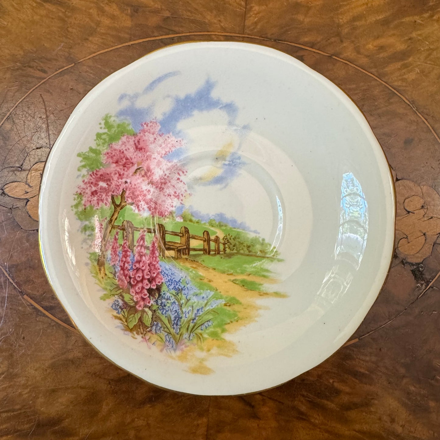 Vintage Queen Anne Meadowside Demitasse Saucer 