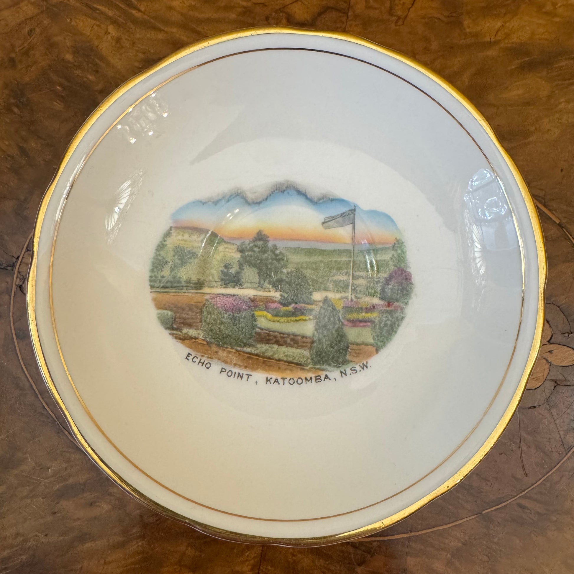 Vintage Royal Stafford Souvenir View Of Echo Point Katoomba Saucer 