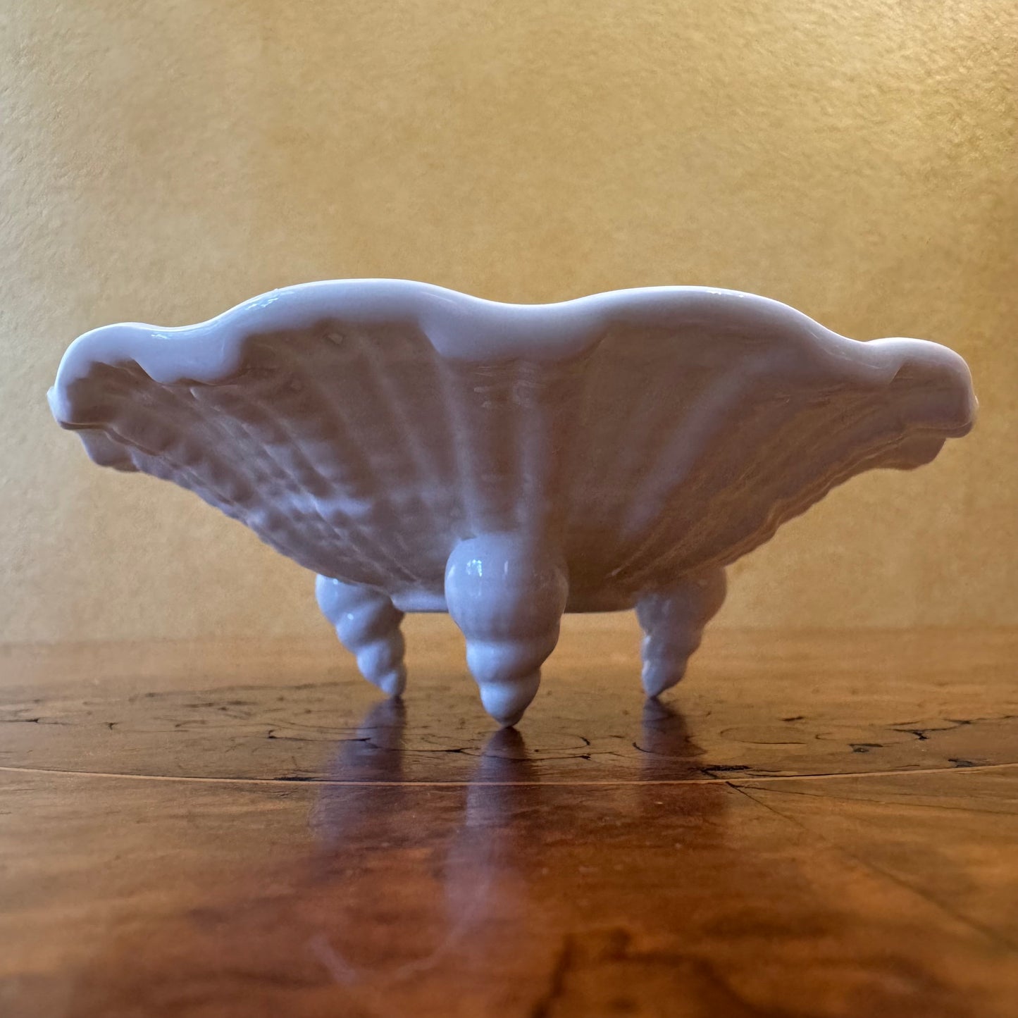 Vintage Royal Worcester Shell Shaped Small Dish 