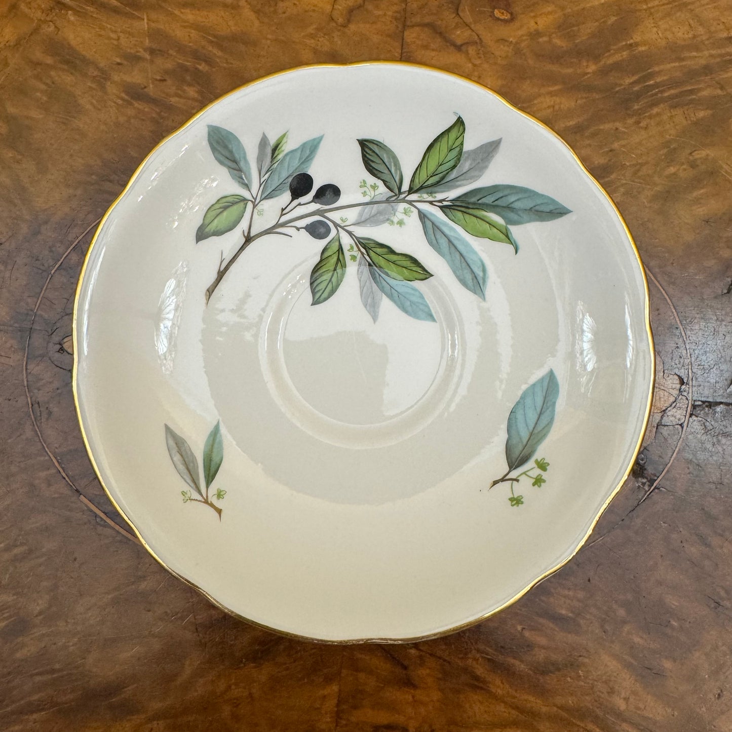 Vintage Salisbury Olive Leaf Print Saucer 