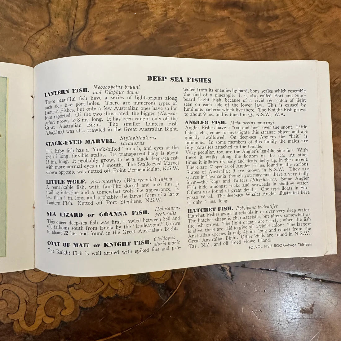 Vintage 1940s Solvol Fish Paper Book