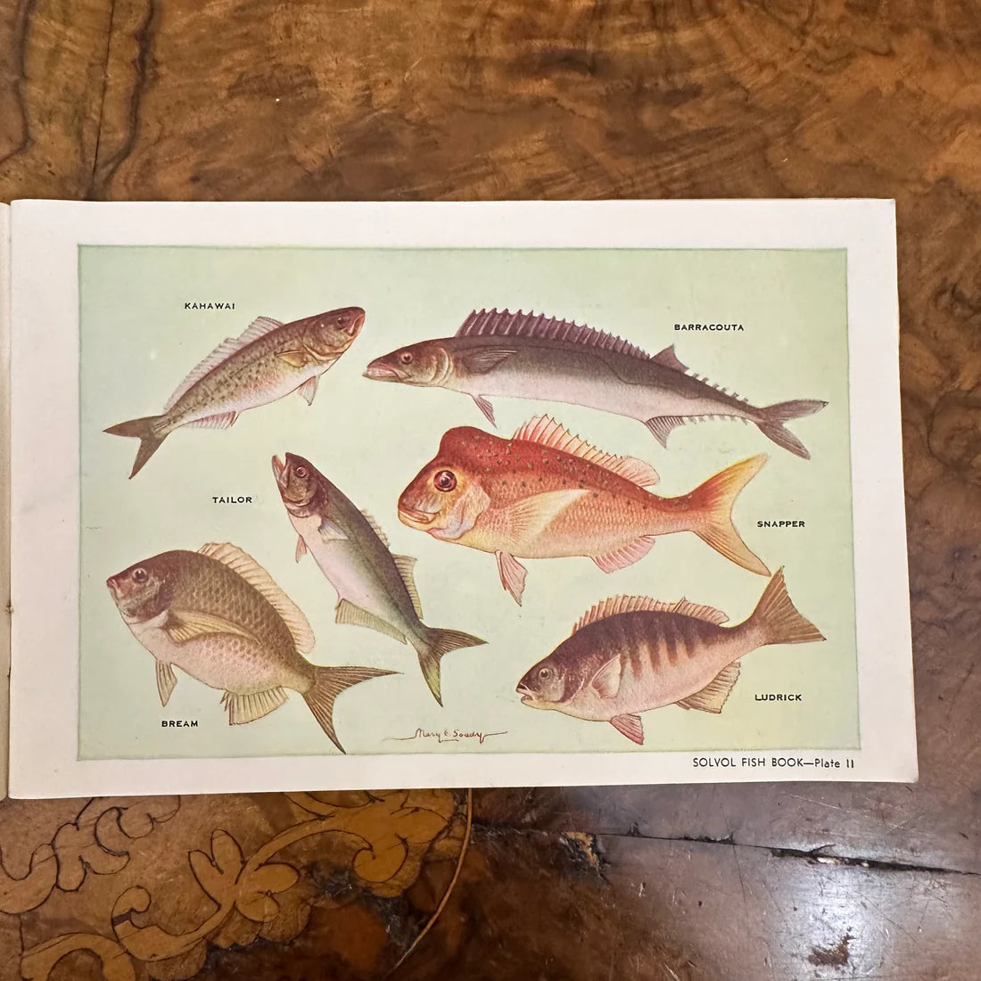 Vintage 1940s Solvol Fish Paper Book