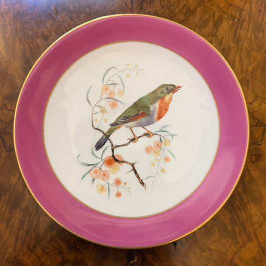 Vintage Thomas Bavaria Bird Print Plate 