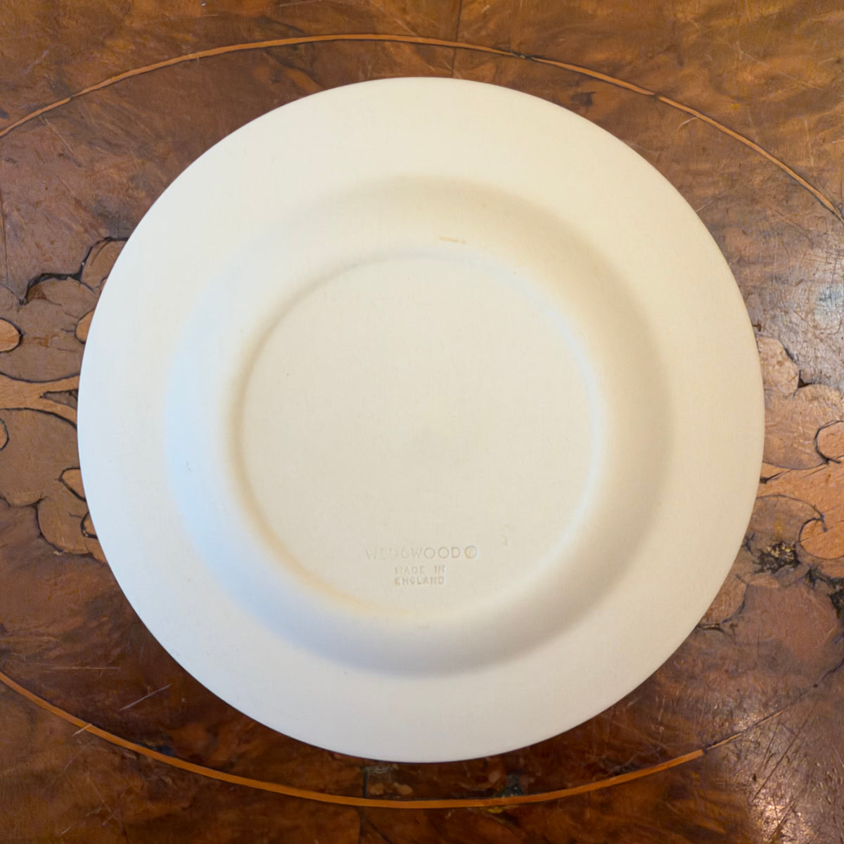 Wedgwood White On Cane Jasperware Wattle Australian Wildflower Collection 