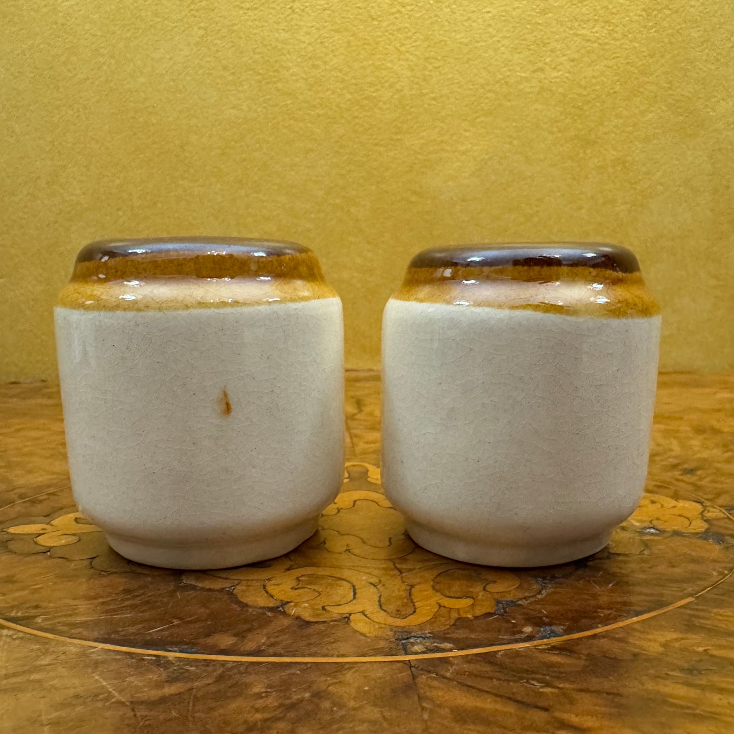 Western Australia Swan Print Salt & Pepper 