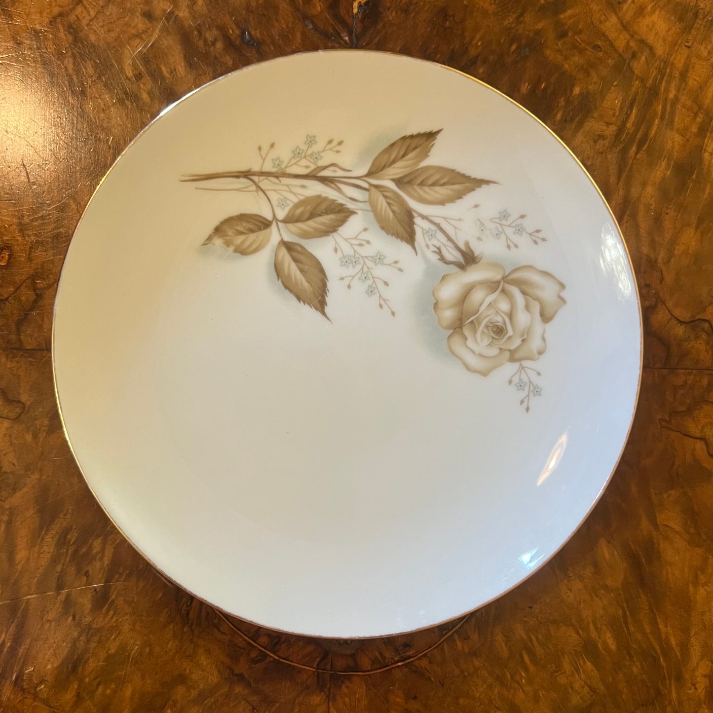 Westminster Damask Rose Dinner Plate