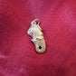 Sterling Silver Lions Head With Tail Pendant