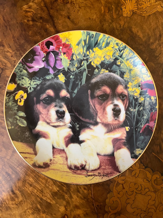 Puppies & Posies By Louis Grant Limited Edition Plate