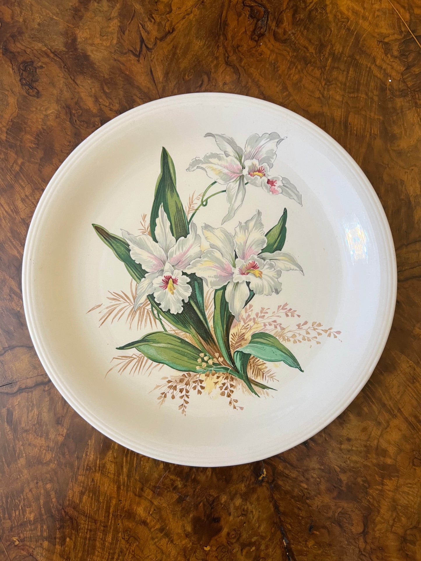 Vintage Grindley Orchid Dinner Plate