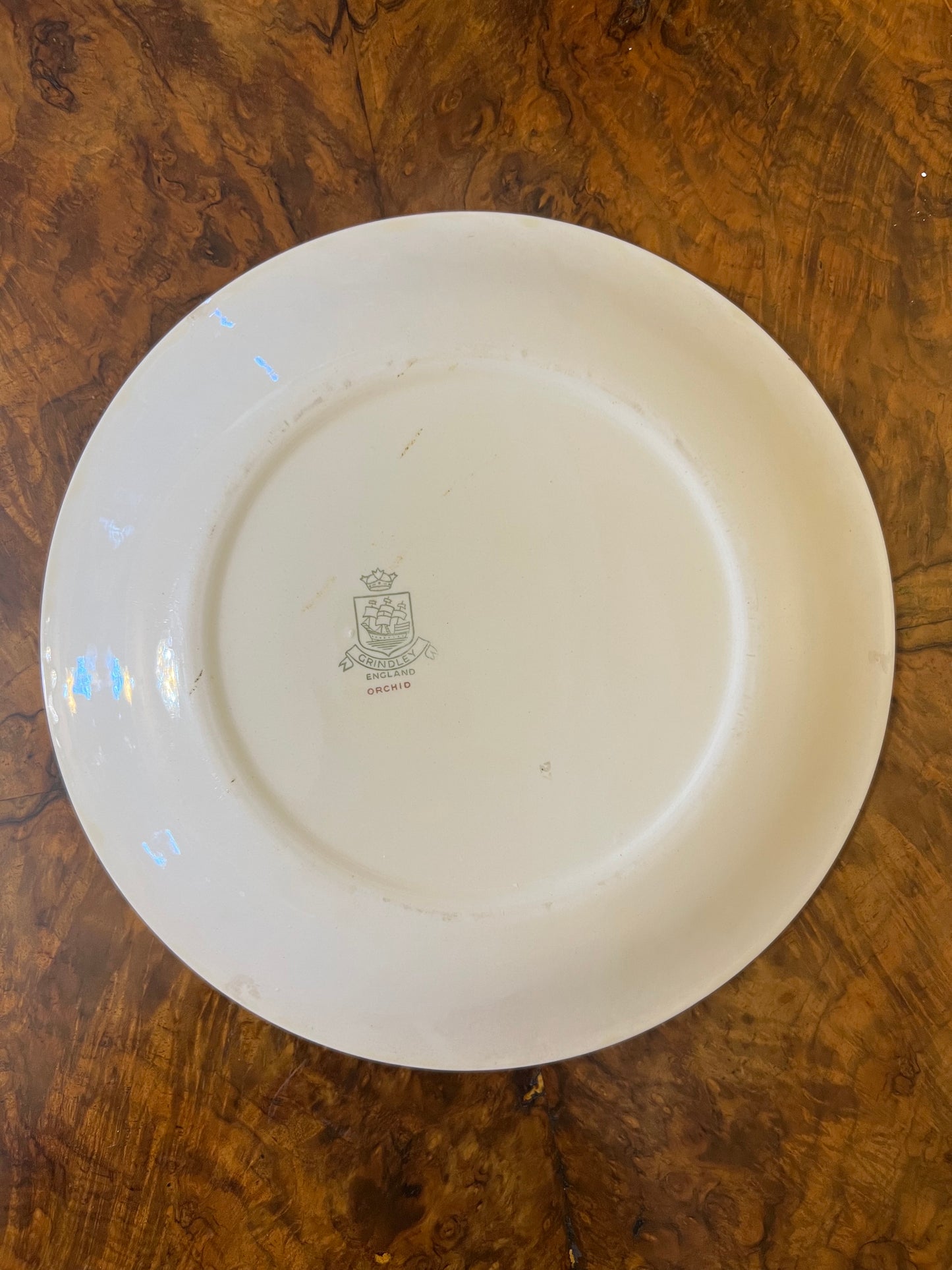 Vintage Grindley Orchid Dinner Plate