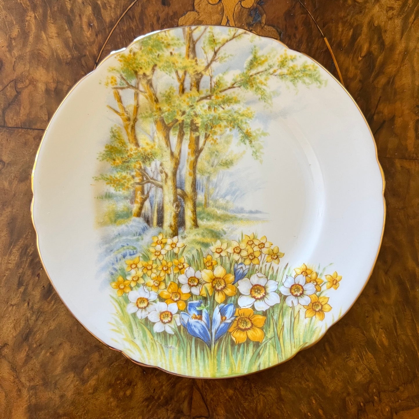 Vintage Shelley Daffodil Time Side Plate