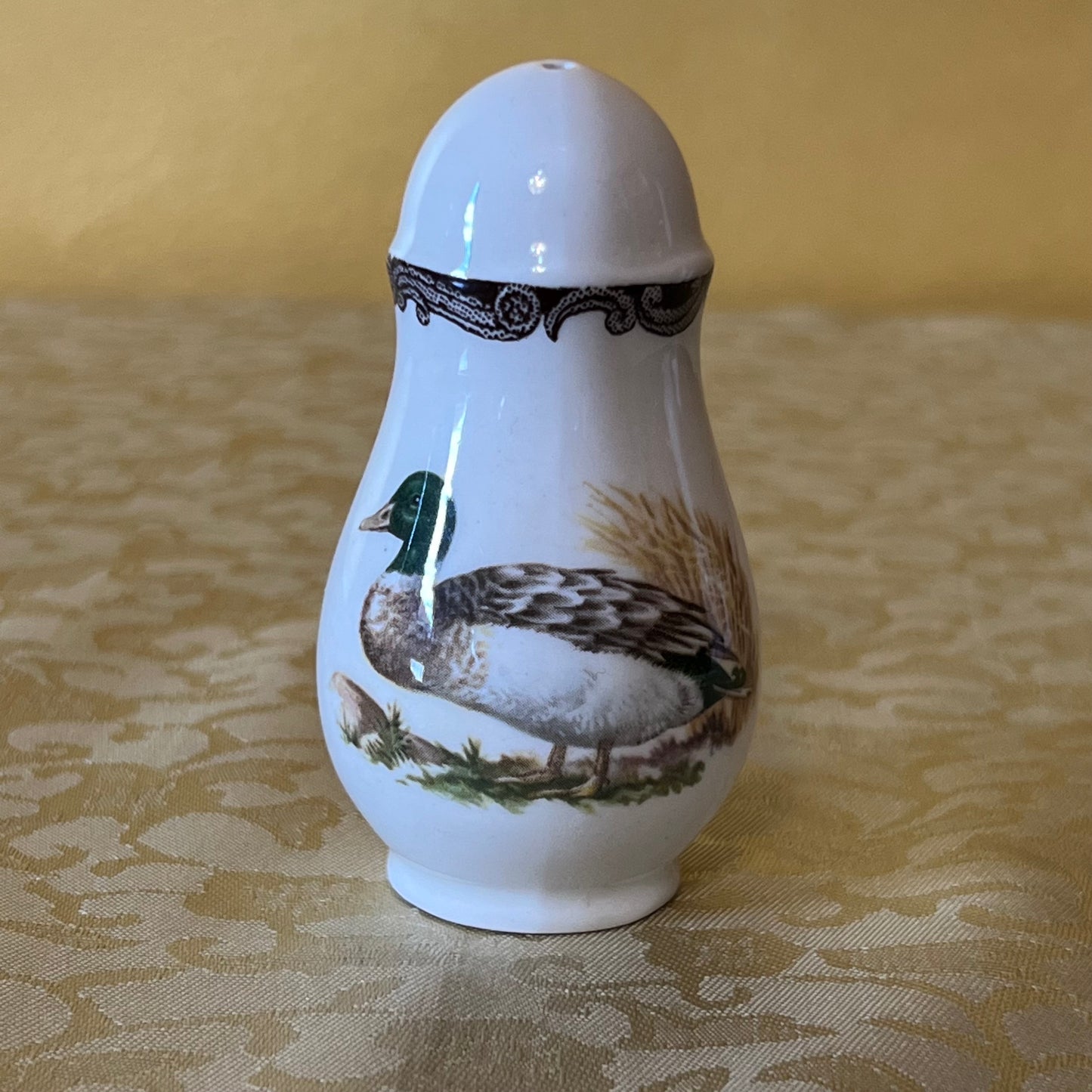 Vintage Royal Worcester Palissy Gaming Series Salt Shaker